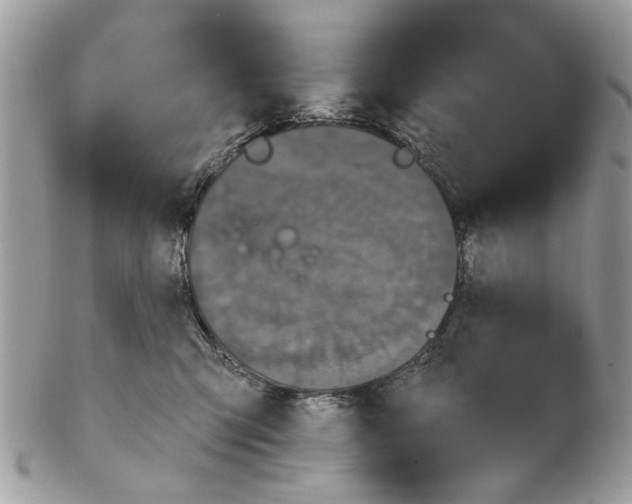 X0000102460423200809051314