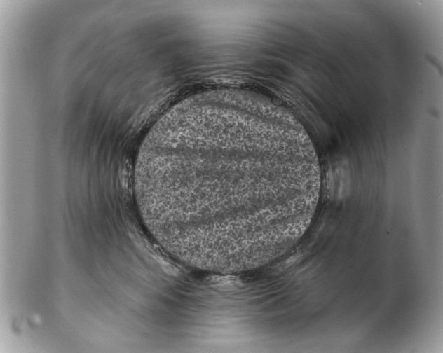 X0000102460424200809051314