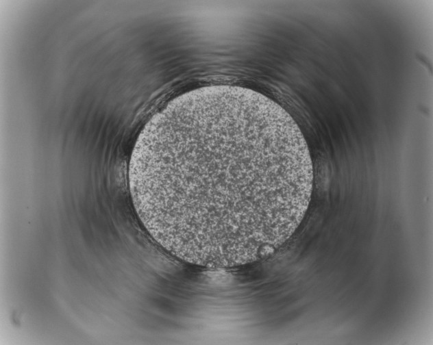 X0000102460425200809051314
