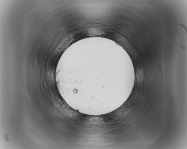 X0000102460426200809051314
