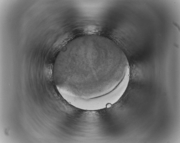X0000102460427200809051314