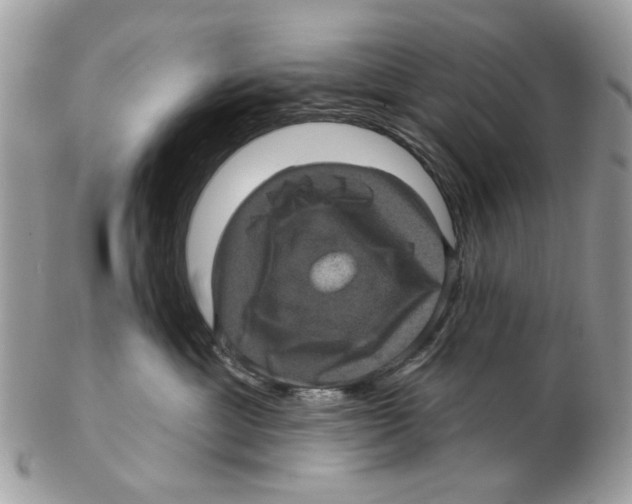 X0000102460429200809051314