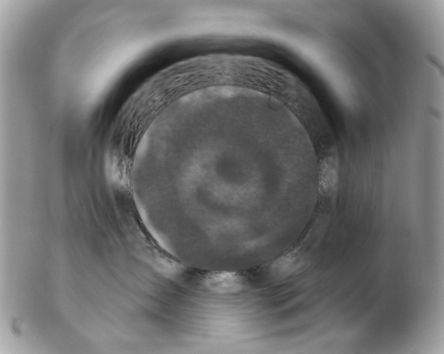 X0000102460431200809051314