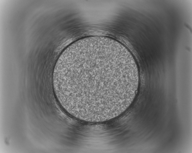 X0000102460433200809051313