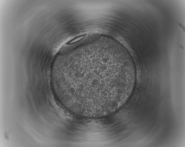 X0000102460434200809051313