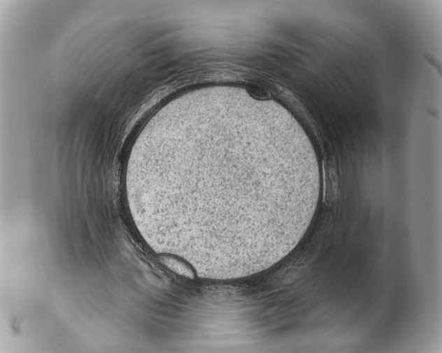 X0000102460435200809051313