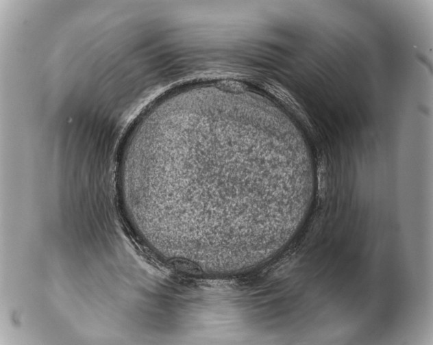 X0000102460436200809051313
