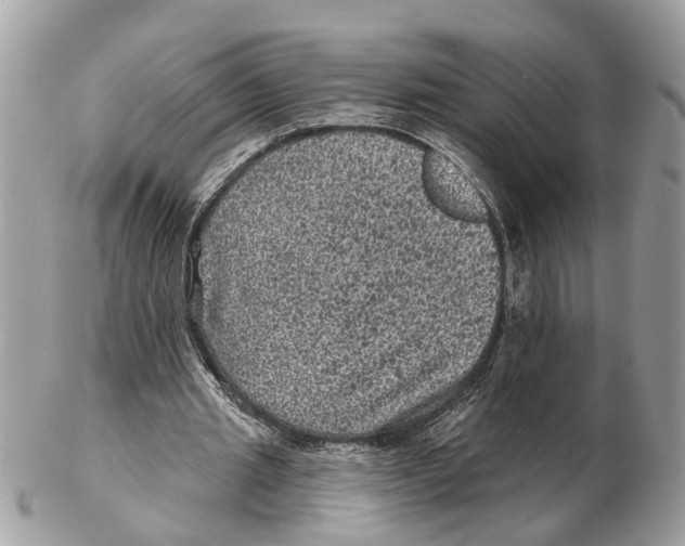 X0000102460437200809051313