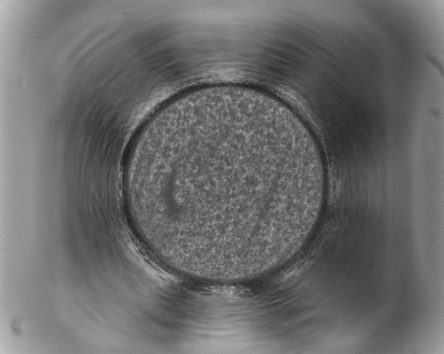X0000102460439200809051313