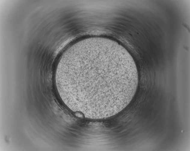 X0000102460440200809051313