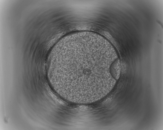 X0000102460441200809051313