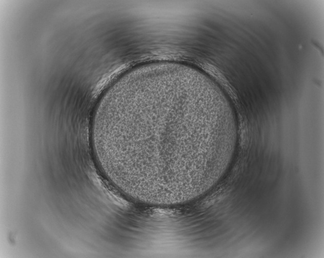 X0000102460442200809051313