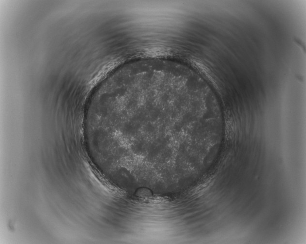 X0000102460443200809051313