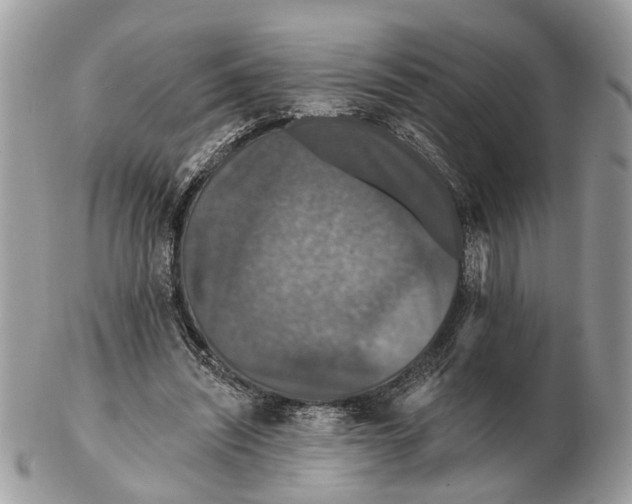X0000102460444200809051313