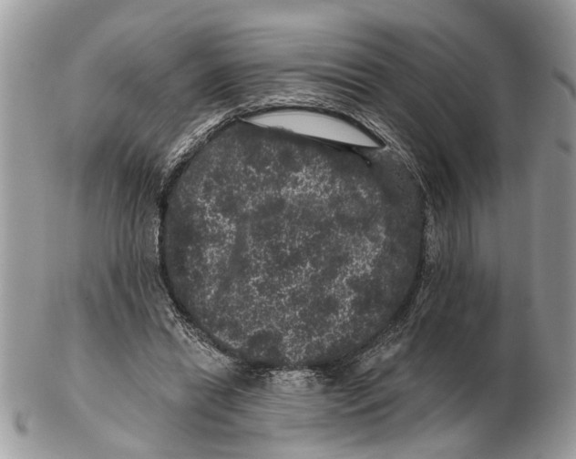 X0000102460446200809051313