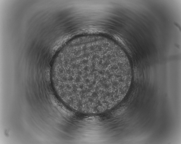 X0000102460447200809051313