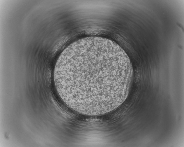 X0000102460448200809051313