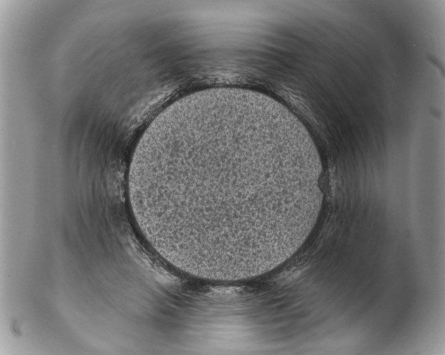 X0000102460450200809051313