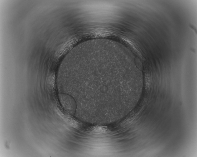 X0000102460451200809051313