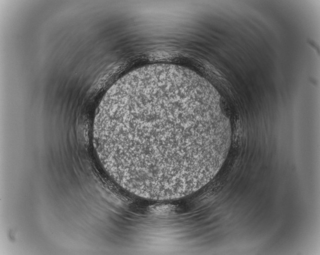 X0000102460452200809051313