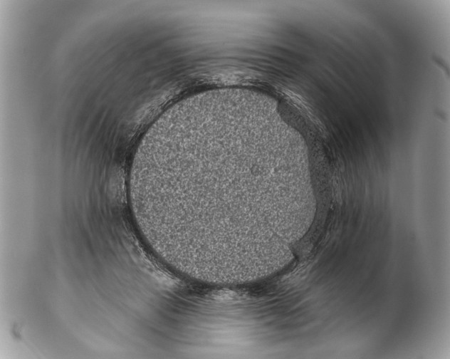 X0000102460453200809051313