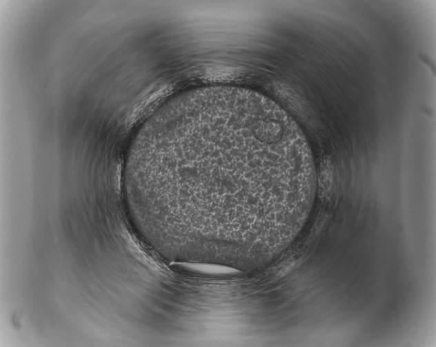 X0000102460454200809051313