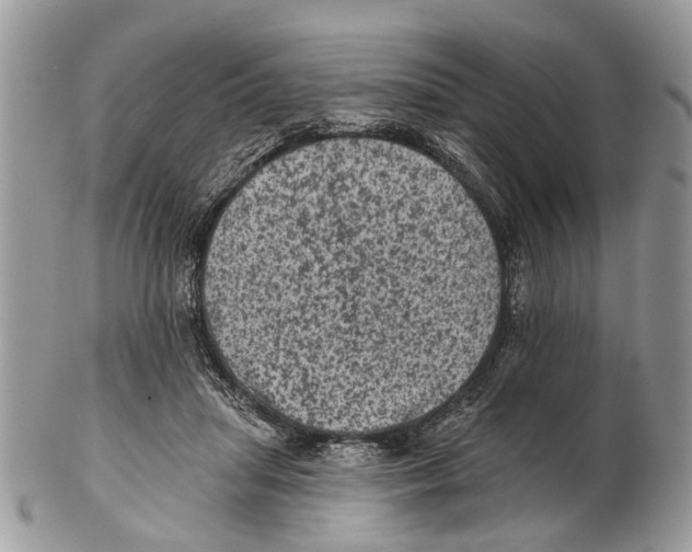 X0000102460455200809051313