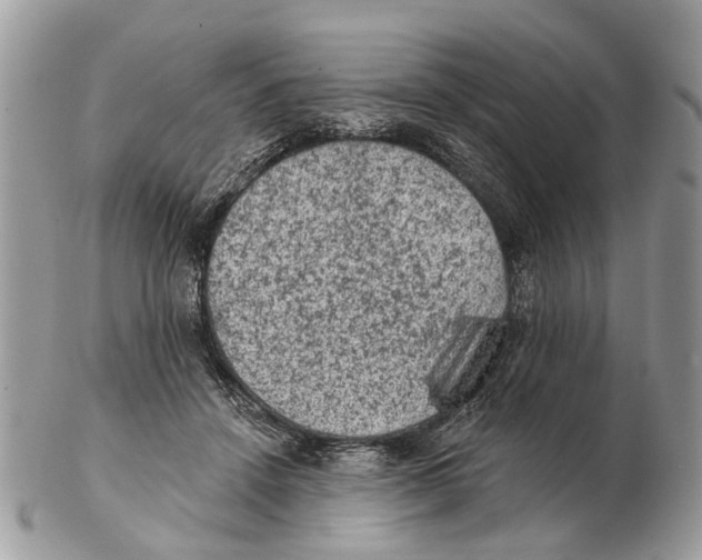 X0000102460456200809051313