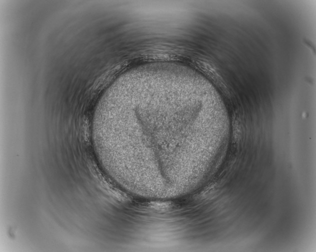 X0000102460457200809051313