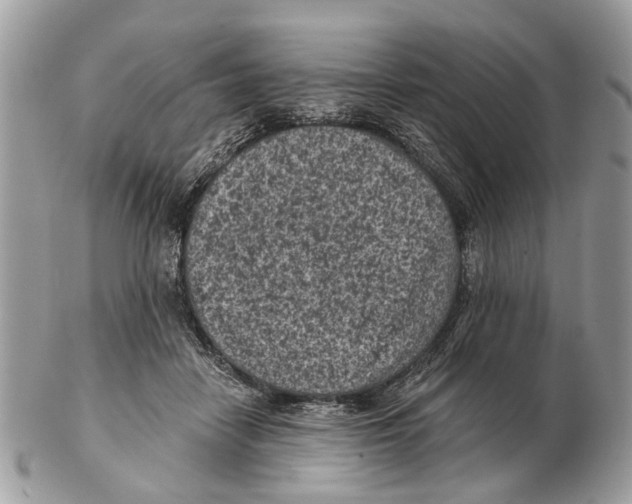 X0000102460458200809051313