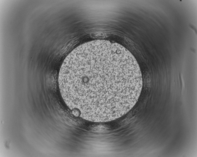 X0000102460460200809051313