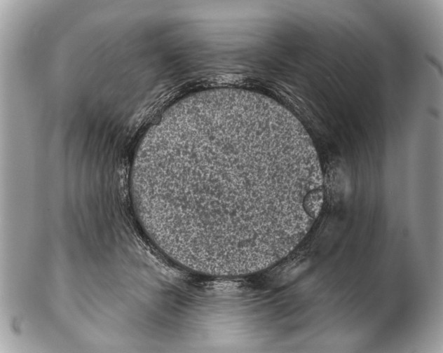 X0000102460462200809051313
