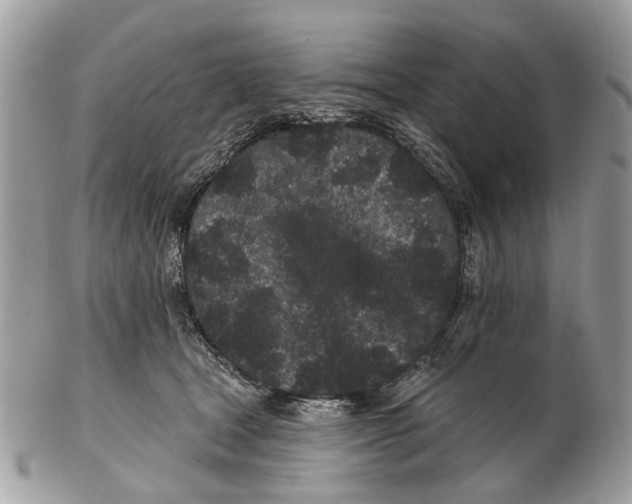 X0000102460465200809051313
