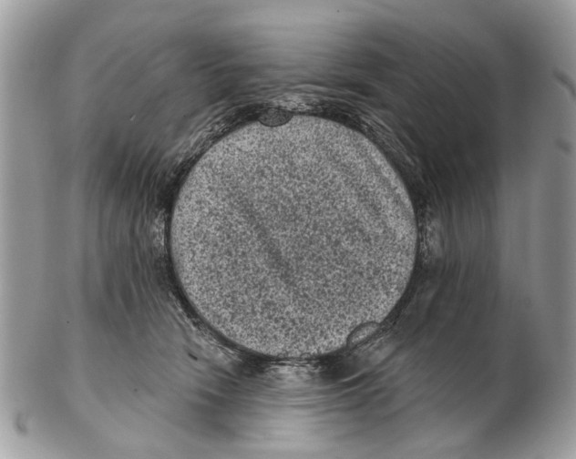 X0000102460466200809051313