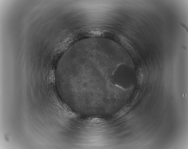 X0000102460467200809051313