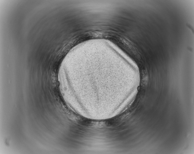 X0000102460469200809051313
