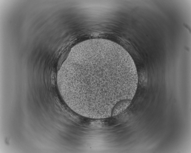 X0000102460470200809051313
