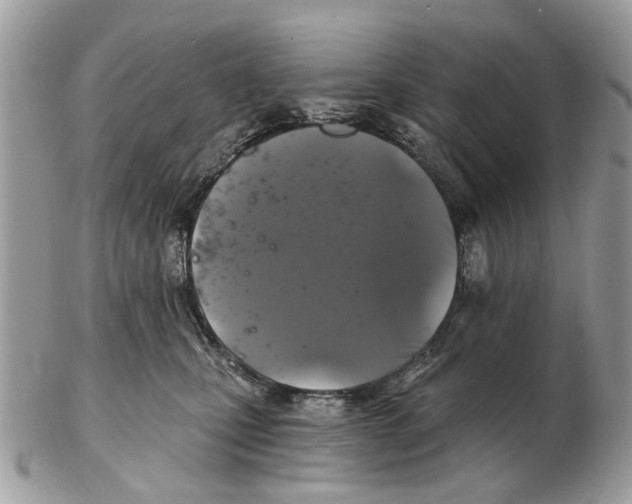 X0000102460471200809051313