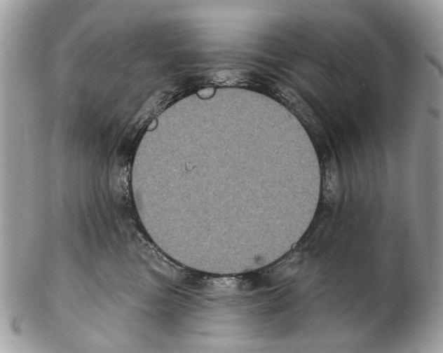 X0000102460473200809051313