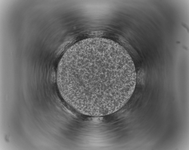 X0000102460474200809051313