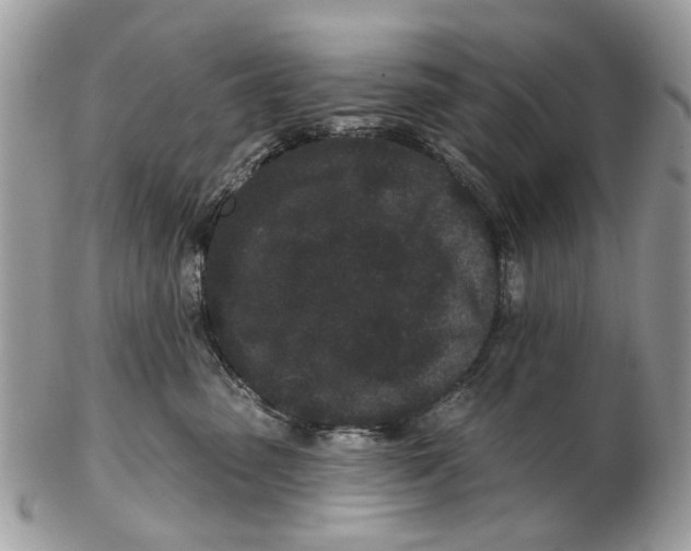 X0000102460475200809051314