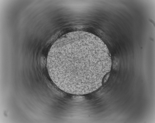 X0000102460476200809051314