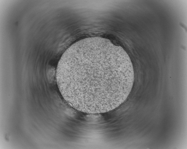 X0000102460480200809051314
