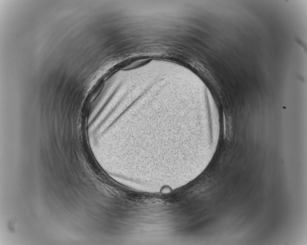 X0000102460483200809051313