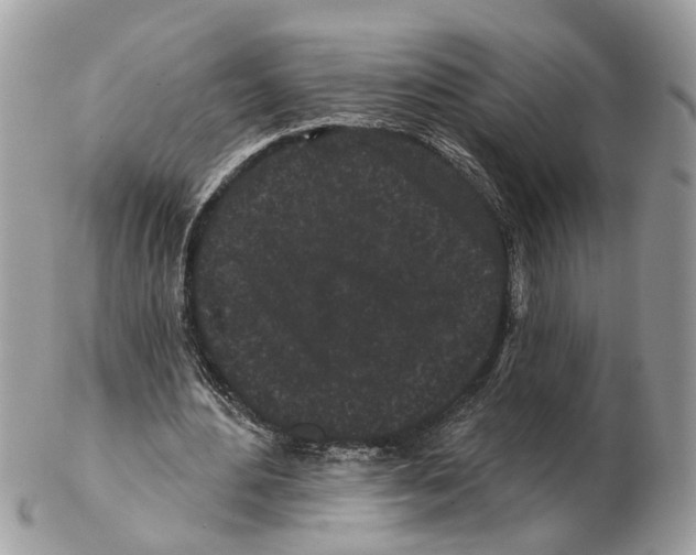 X0000102460484200809051313