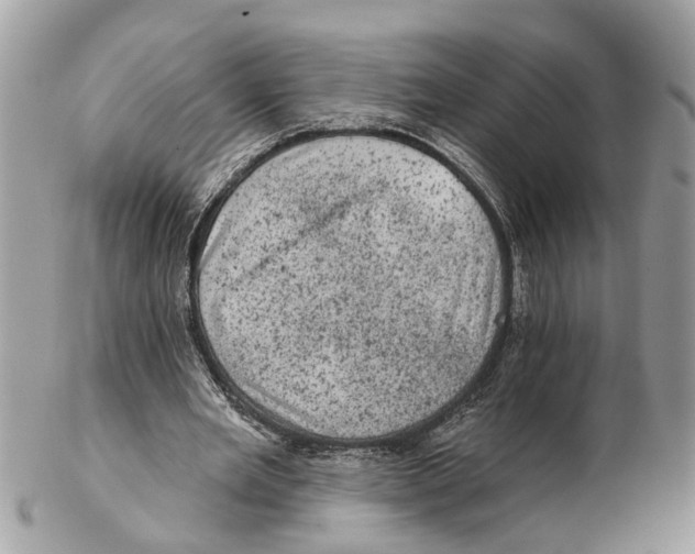 X0000102460485200809051313