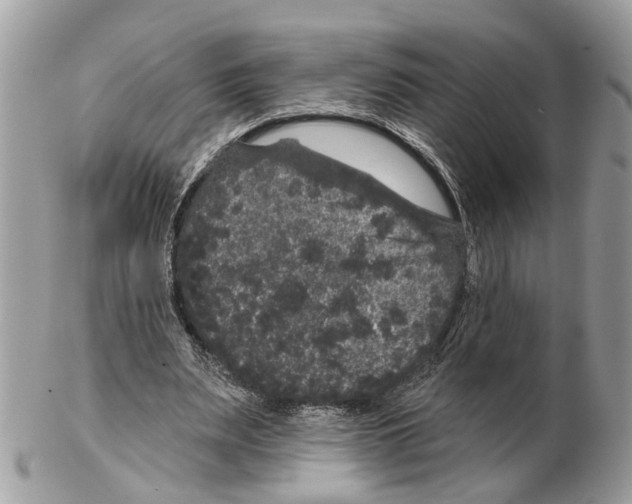 X0000102460487200809051313