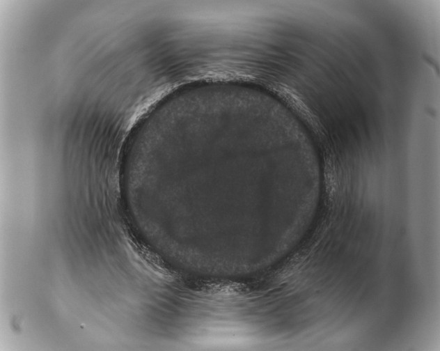 X0000102460488200809051313