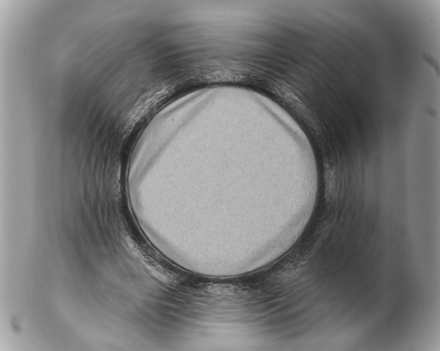 X0000102460490200809051313