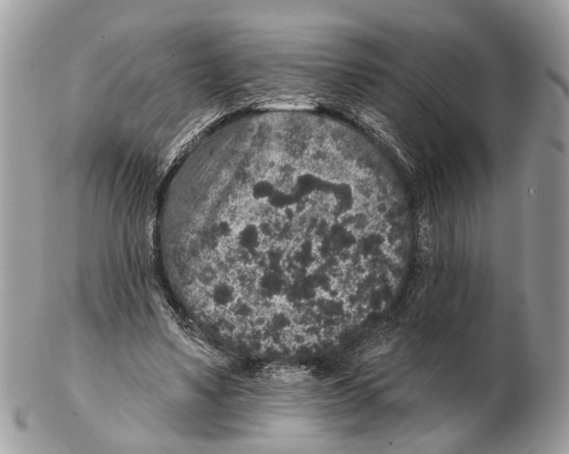 X0000102460491200809051313